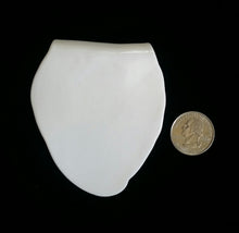 Load image into Gallery viewer, Hand Formed Blank Porcelain