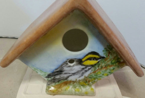Birdhouse With A Golden Cheeked Warbler