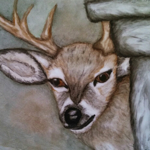 Hand Painter Deer Platter