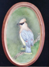 Load image into Gallery viewer, Cedar Waxwing Hand Painted Porcelain Plaque