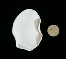 Load image into Gallery viewer, Hand Formed Blank Porcelain